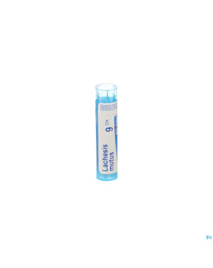 Lachesis mutus    9ch gr 4g boiron