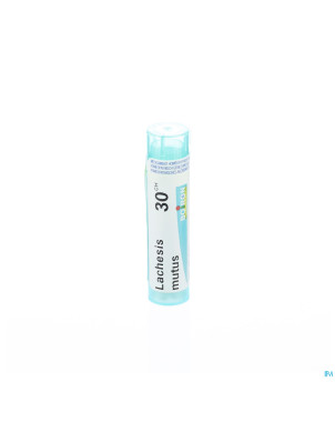 Lachesis mutus    30ch gr 4g boiron