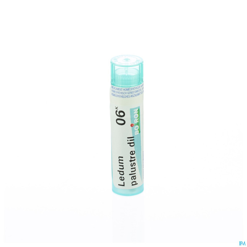 Ledum palustre    6k gr 4g boiron