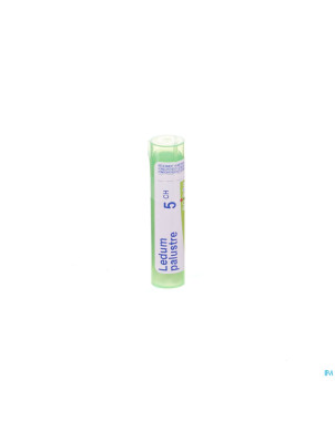 Ledum palustre    5ch gr 4g boiron