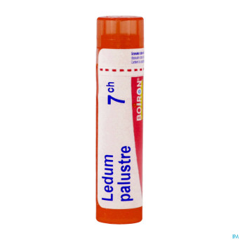 Ledum palustre    7ch gr 4g boiron