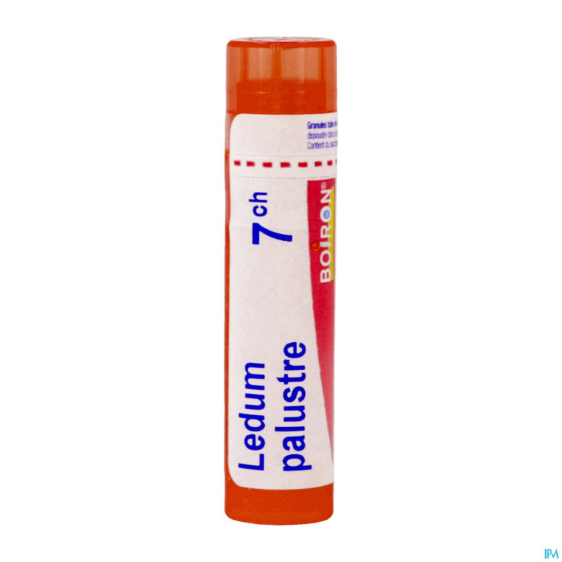 Ledum palustre    7ch gr 4g boiron