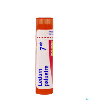 Ledum palustre    7ch gr 4g boiron