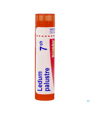Ledum palustre    7ch gr 4g boiron