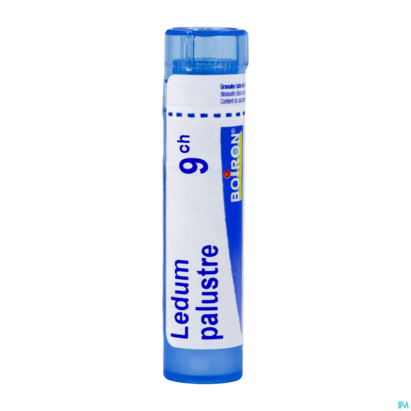 Ledum palustre    9ch gr 4g boiron
