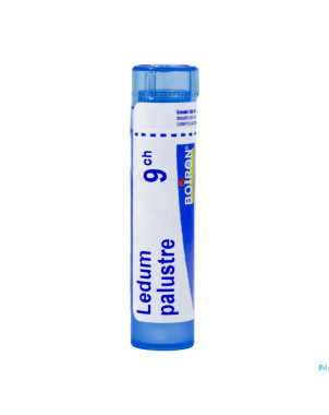 Ledum palustre    9ch gr 4g boiron