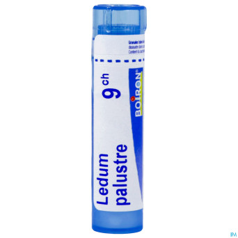 Ledum palustre    9ch gr 4g boiron