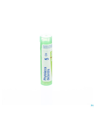 Phytolacca decandra    5ch gr 4g boiron