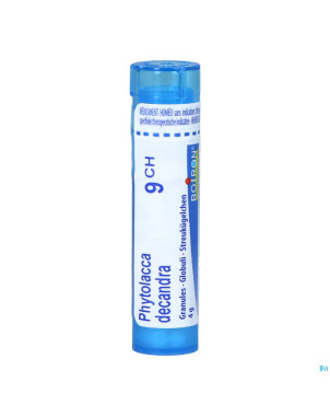 Phytolacca decandra    9ch gr 4g boiron