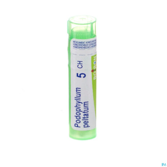 Podophyllum peltatum    5ch gr 4g boiron