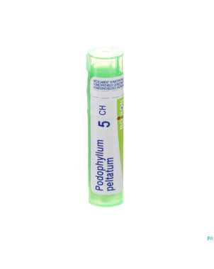 Podophyllum peltatum    5ch gr 4g boiron