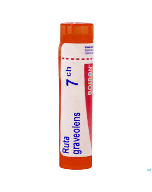 Ruta graveolens    7ch gr 4g boiron