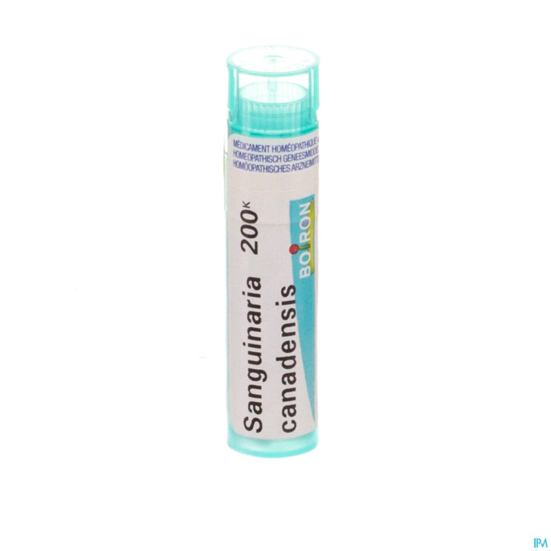 Sanguinaria canadensis    200k gr 4g boiron