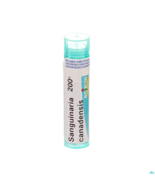 Sanguinaria canadensis    200k gr 4g boiron