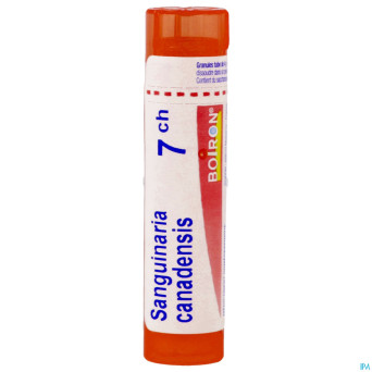 Sanguinaria canadensis    7ch gr 4g boiron