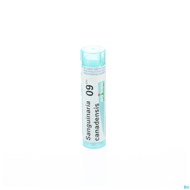 Sanguinaria canadensis    9ch gr 4g boiron