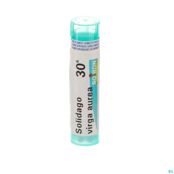 Solidago virgaurea    30k gr 4g boiron