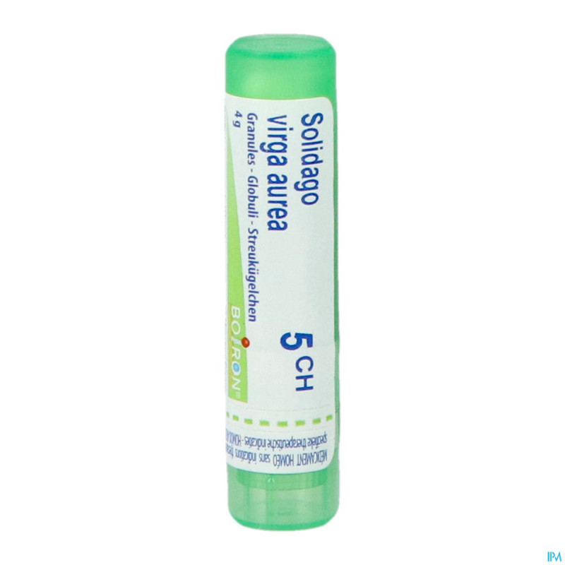 Solidago virgaurea    5ch gr 4g boiron