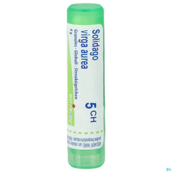 Solidago virgaurea    5ch gr 4g boiron