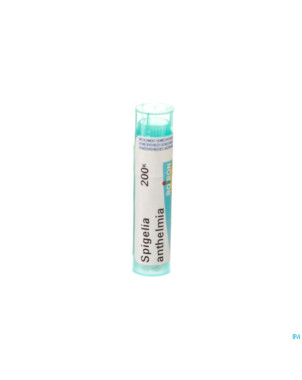 Spigelia anthelmia    200k gr 4g boiron