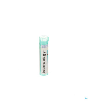Staphysagria    7ch gr 4g boiron