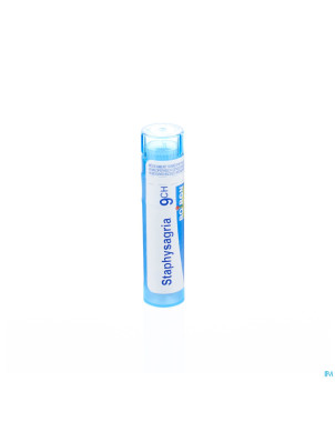 Staphysagria    9ch gr 4g boiron