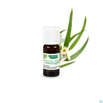 Phytosun euc. globulus fr-bio-01    10ml