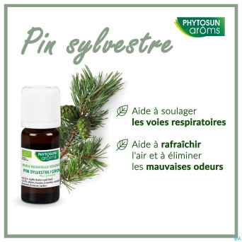 Phytosun pin sylvestre fr-bio-01    5ml