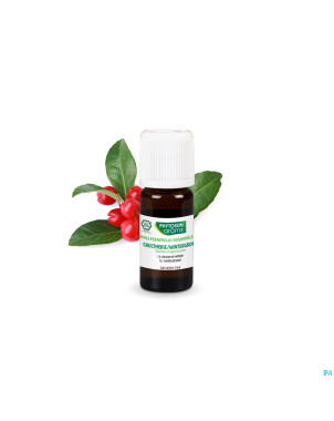 Phytosun gaultherie eco    10ml