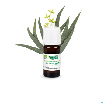 Phytosun euc. radiata fr-bio-01    10ml