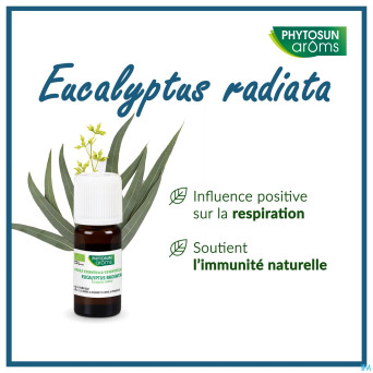 Phytosun euc. radiata fr-bio-01    10ml