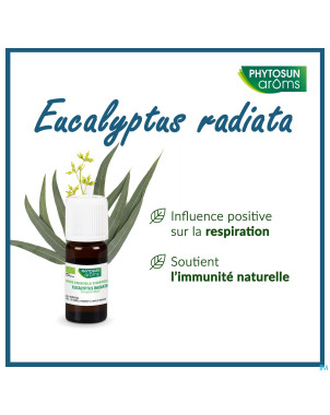Phytosun euc. radiata fr-bio-01    10ml