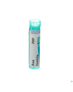 Asa foetida    200k gr 4g boiron