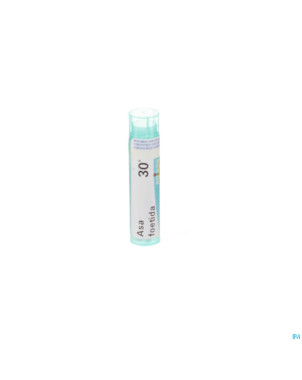 Asa foetida    30k gr 4g boiron