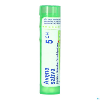 Avena sativa    05ch gr 4g boiron