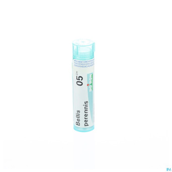 Bellis perennis    05ch gr 4g boiron