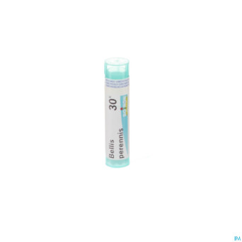Bellis perennis    30k gr 4g boiron