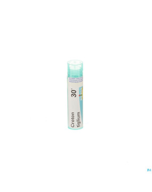 Croton tiglium 30k gr 4g boiron