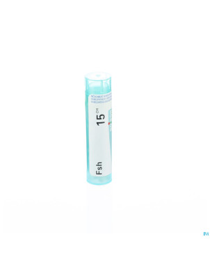 Fsh    15ch gr 4g boiron