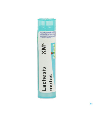 Lachesis mutus xmk gr 4g boiron