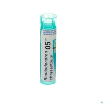 Rhododendron chrysanthum    05ch gr 4g boiron