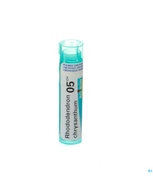 Rhododendron chrysanthum    05ch gr 4g boiron