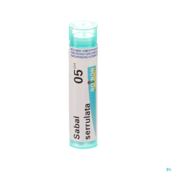 Sabal serrulata    05ch gr 4g boiron