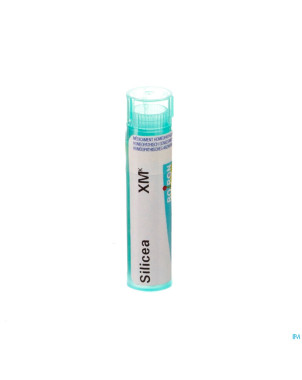 Silicea    xmk gr 4g boiron