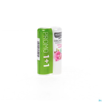 Bodysol stick levres orchidee 4,8g 1+1 promo