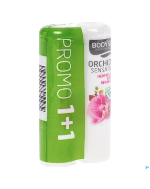 Bodysol stick levres orchidee 4,8g 1+1 promo
