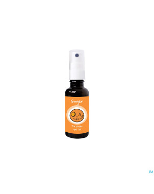 Fear hunters ginger bonne humeur hle ess spr. 30ml