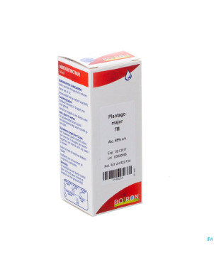 Plantago major tm    60ml boiron