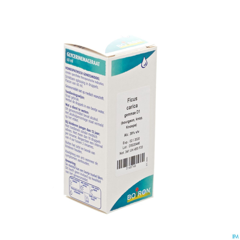 Ficus carica gemmo d1    60ml boiron