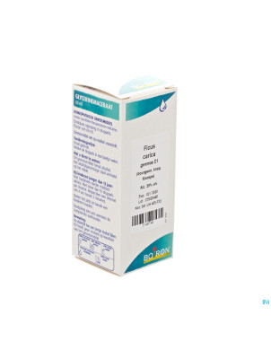 Ficus carica gemmo d1    60ml boiron